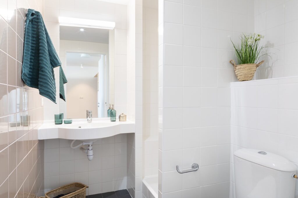 Agrandir l'image - fenêtre modale