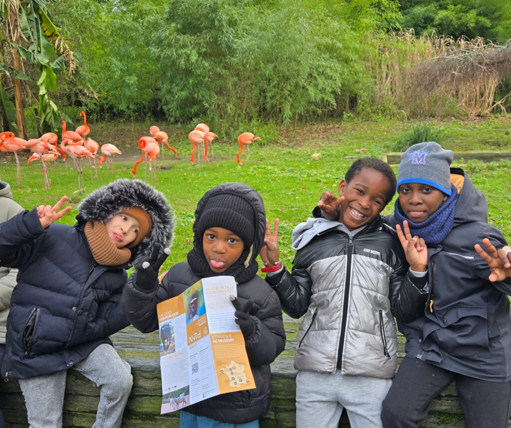 Agrandir l'image - fenêtre modale