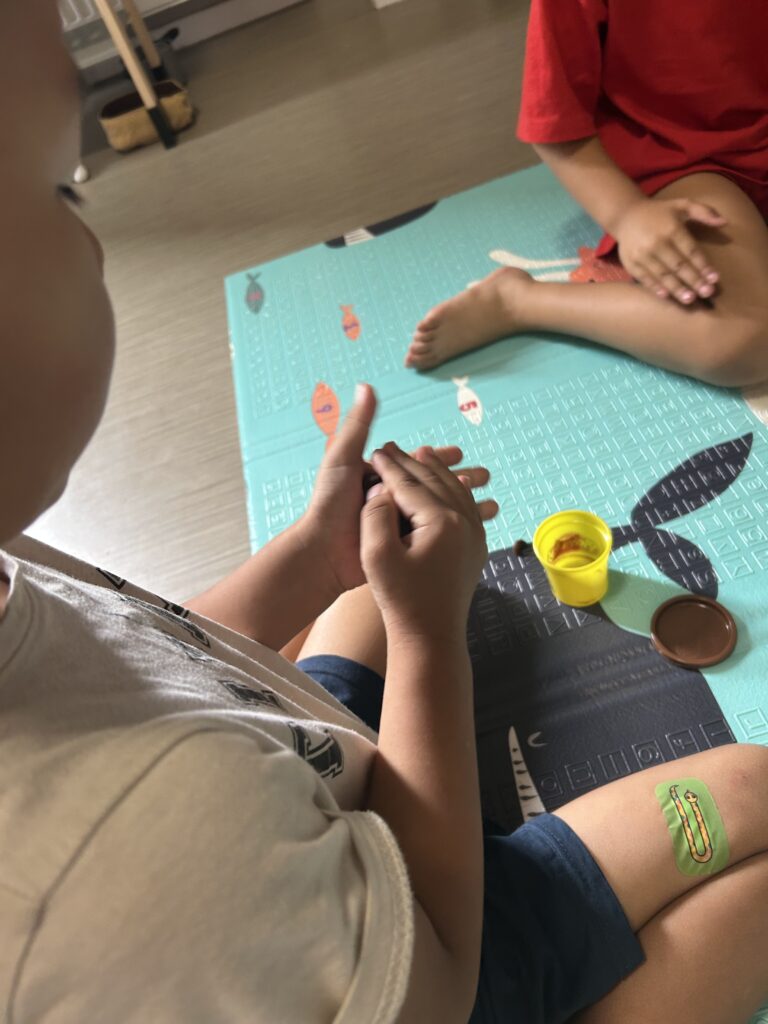 Agrandir l'image - fenêtre modale